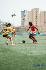 29032024-DSC07177