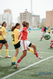 29032024-DSC07209