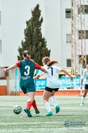 29032024-DSC_0238