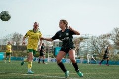 29032024-DSC06646