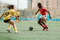 29032024-DSC07177