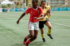 29032024-DSC07185