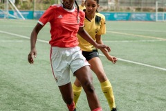 29032024-DSC07186