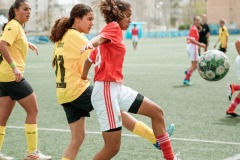 29032024-DSC07209