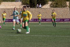 AConecta_MIFC_WT_LAST-DAY-504