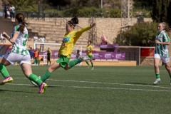 AConecta_MIFC_WT_LAST-DAY-505