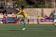 AConecta_MIFC_WT_LAST-DAY-506