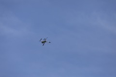 AConecta_MIFC_WT_LAST-DAY-611