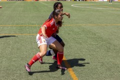 AConecta_MIFC_WT_LAST-DAY-686