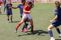 AConecta_MIFC_WT_LAST-DAY-690