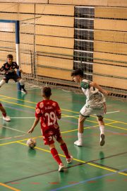 AConecta_MIFC_VDB_DIA22124