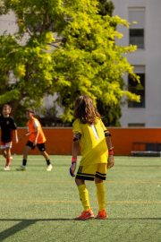 AConecta_MIFC_VDB_DIA22200