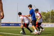 AConecta_MIFC_VDB_DIA2252