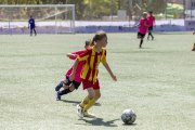 AConecta_DAY-22-102