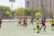 AConecta_DAY-22-123