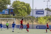 AConecta_DAY-22-126