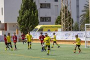 AConecta_DAY-22-166