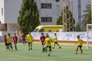 AConecta_DAY-22-166