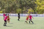 AConecta_DAY-22-20