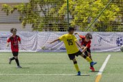 AConecta_DAY-22-223