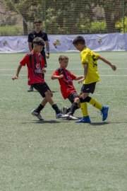 AConecta_DAY-22-227
