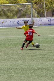 AConecta_DAY-22-228