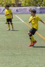 AConecta_DAY-22-232