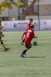 AConecta_DAY-22-233