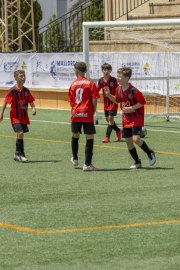 AConecta_DAY-22-234