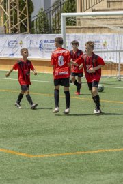 AConecta_DAY-22-235
