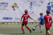 AConecta_DAY-22-243