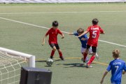 AConecta_DAY-22-271