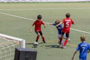 AConecta_DAY-22-271