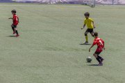 AConecta_DAY-22-276