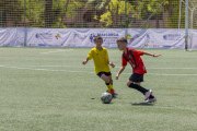AConecta_DAY-22-284