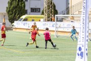 AConecta_DAY-22-77