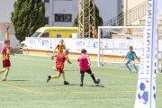 AConecta_DAY-22-77