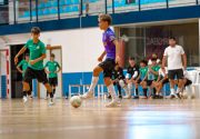 IMG_2331