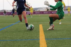 IMG_0234