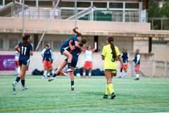 IMG_0454