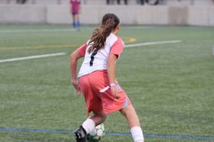 IMG_0527