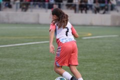IMG_0529