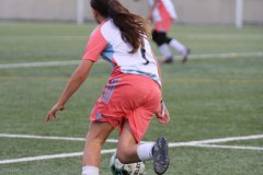 IMG_0533
