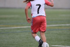 IMG_0534