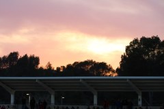 IMG_0576
