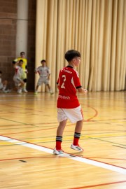 AConecta_MIFC_VDB_DIA2206