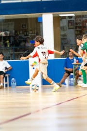 AConecta_MIFC_VDB_DIA22171