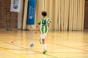 AConecta_MIFC_VDB_DIA22268