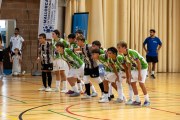 AConecta_MIFC_VDB_DIA2232