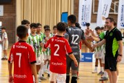 AConecta_MIFC_VDB_DIA2266